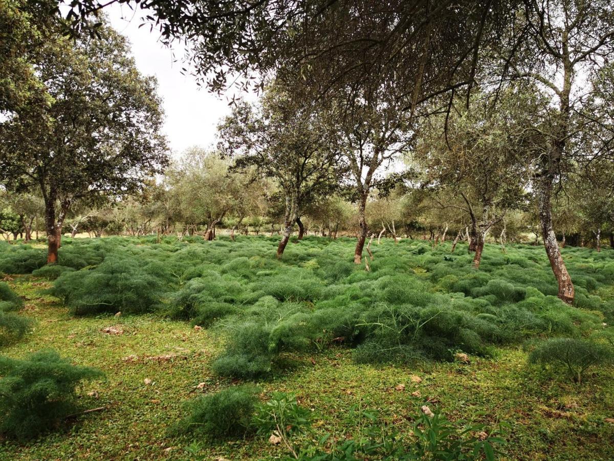 הוילה הורנאצ'ולוס La Fuensanta מראה חיצוני תמונה